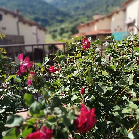 Apartamento El Balcón Panorámico Del Tiétar *