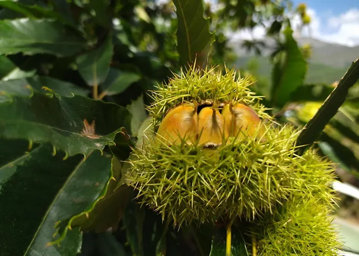 El Balcon Panoramico Del Tietar Mijares