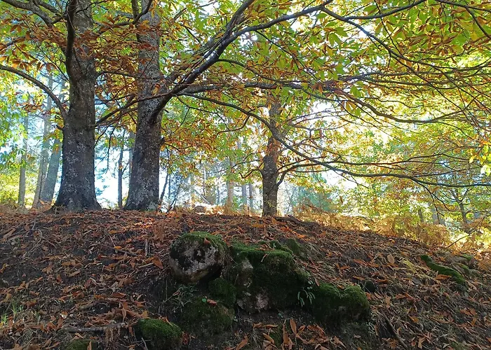 El Balcon Panoramico Del Tietar 아파트 *